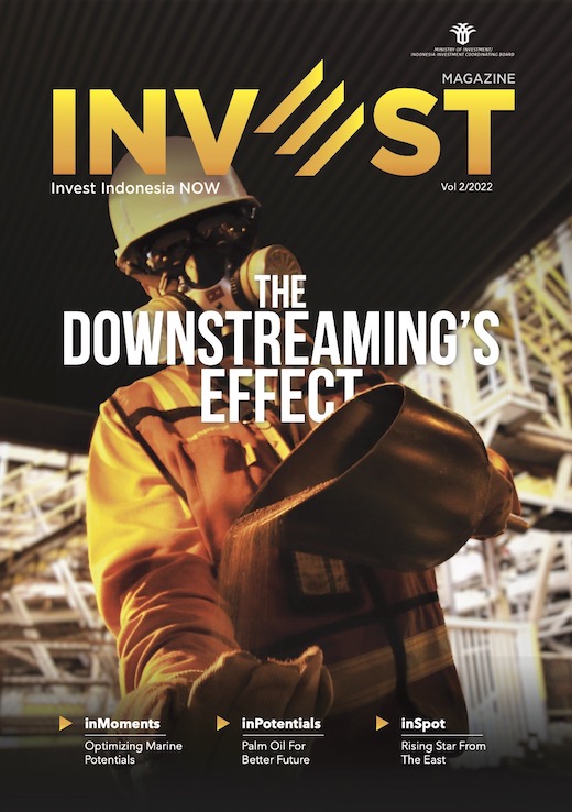 INVEST Magazine The Downstreaming's Effect